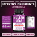 2-packs-mullein-leaf-capsules-6850mg---m-2.jpg