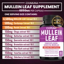 2-packs-mullein-leaf-capsules-6850mg---m-3.jpg