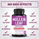 2-packs-mullein-leaf-capsules-6850mg---m-6.jpg