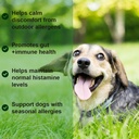 allergy-relief-chews-soothe-itchy-dogs-w-4.jpg