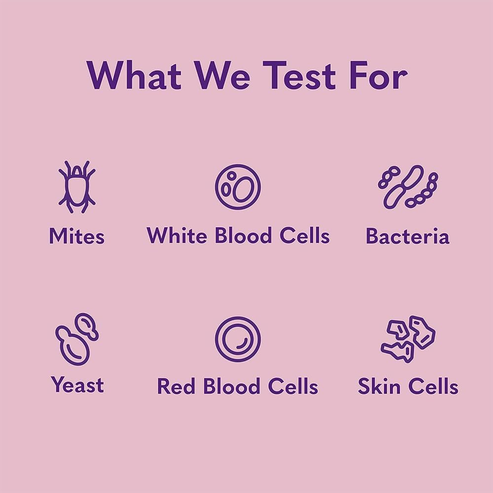 mysimplepetlab-cat-ear-infection-test-ki-6.jpg