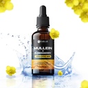 fablab-mullein-leaf-extract-with-elderbe-2.jpg