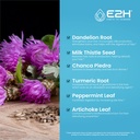 e2h-liver-support-supplement-2-pack---4--2.jpg