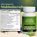 sea-moss-capsules---60-capsules-seamoss--3.jpg