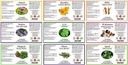 hekma-center-supplements-package-for-fib-3.jpg