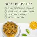 evergreen-herbs-calendula-flowers---tamp-5.jpg