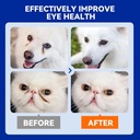 dog-eye-drops-eye-infection-treatment-fo-4.jpg