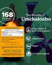herb-pharm-certified-organic-umckaloabo--2.jpg