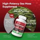 ultimate-wellness-bundle-all-in-1-sea-mo-5.jpg