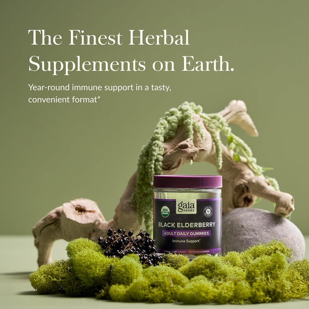 gaia-herbs-black-elderberry-adult-daily--2.jpg
