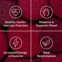 natures-sunshine-power-beets-patented-nu-4.jpg