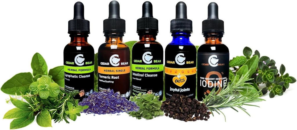 cedar-bear-brain-booster-a-liquid-herbal-4.jpg