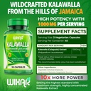 wixar-polypodium-leucotomos-capsules-cal-3.jpg