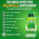 wixar-polypodium-leucotomos-capsules-cal-5.jpg
