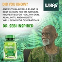 wixar-polypodium-leucotomos-capsules-cal-6.jpg