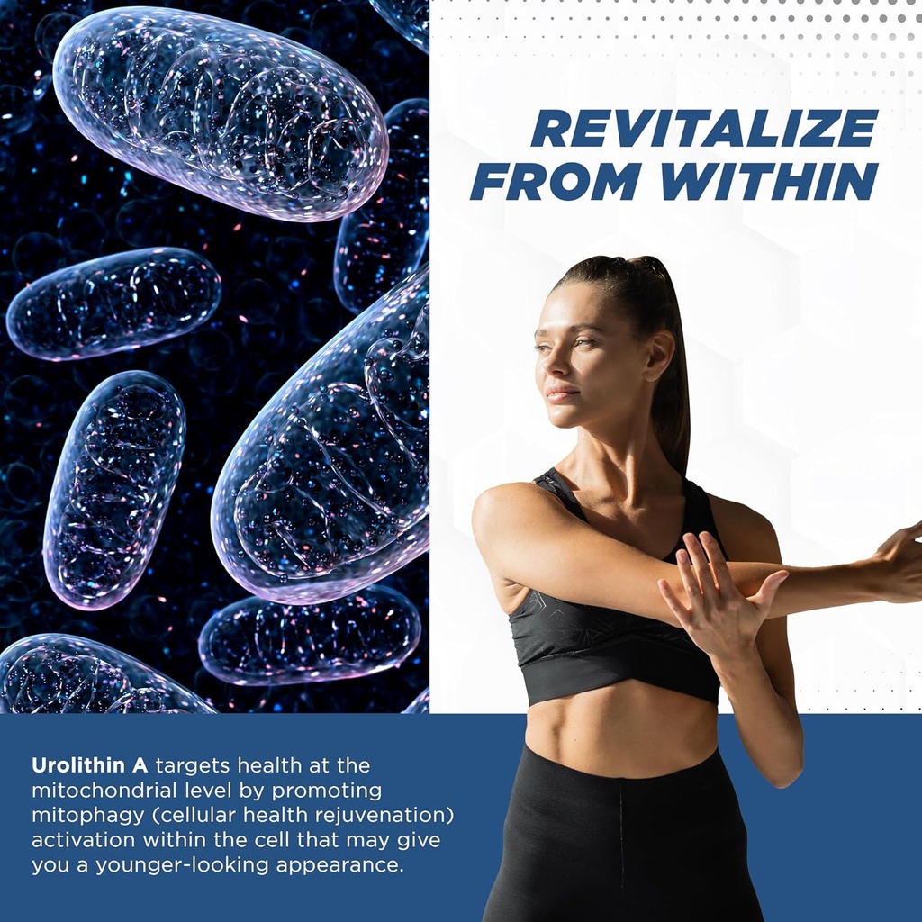 promito---urolithin-a-supplement---1000m-3.jpg