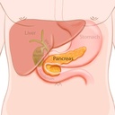 biotherapy-chronic-inflammation-of-the-p-2.jpg