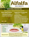 alfalfa-grass-powder-100-gram35-ounce-me-4.jpg