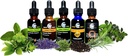 cedar-bear-intestinal-cleanse-a-liquid-h-3.jpg