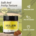 herbamama-mullein-leaf-extract-kit---bun-6.jpg