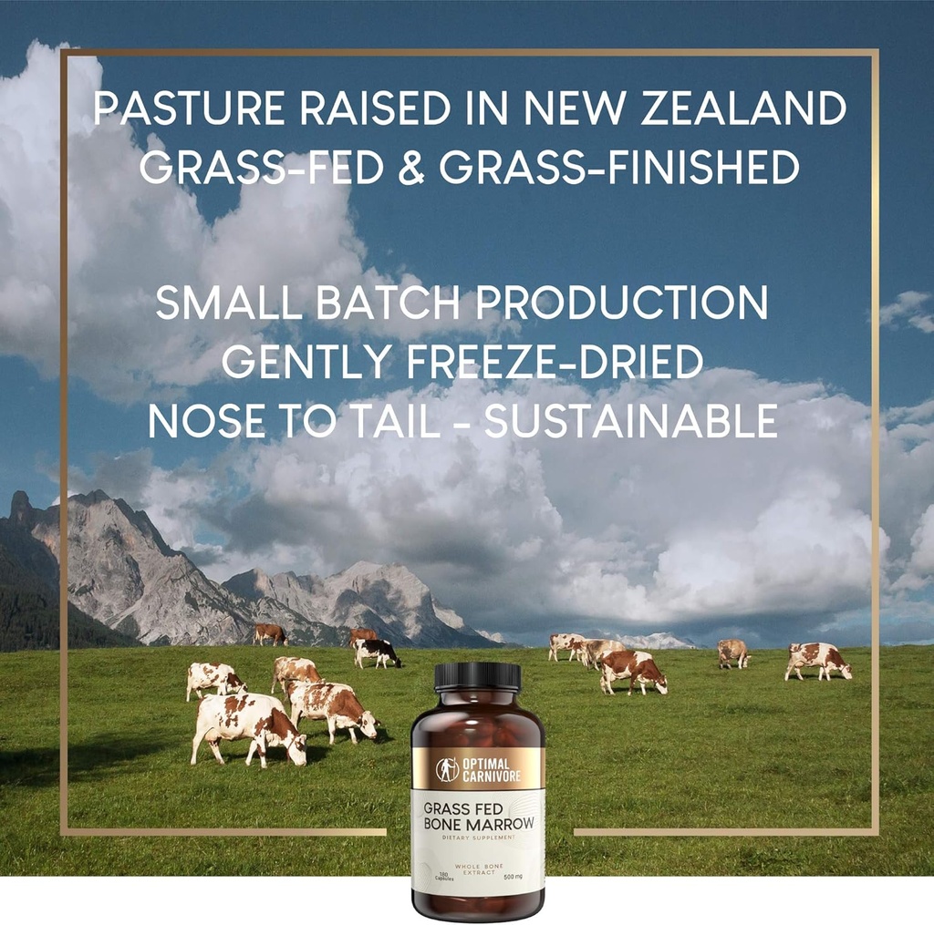 grass-fed-bone-marrow-supplement-trachae-4.jpg