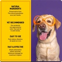 furlicks-gut-health-supplement-for-dogs--5.jpg
