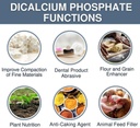 dicalcium-phosphate-anhydrous-dcp-powder-4.jpg