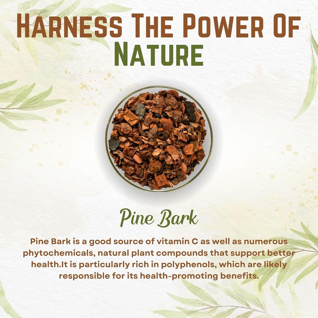 go-nutra-pine-bark-extract-powder-standa-2.jpg
