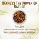 go-nutra-pine-bark-extract-powder-standa-2.jpg