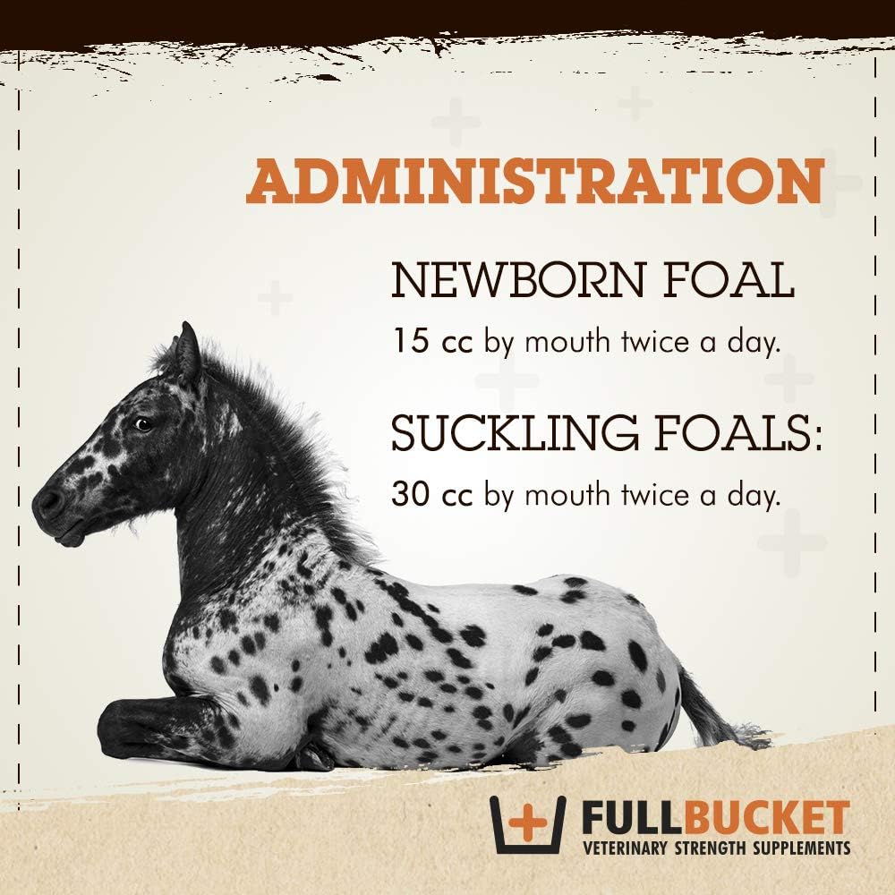 fullbucket-health-foal-probiotic-paste-5.jpg