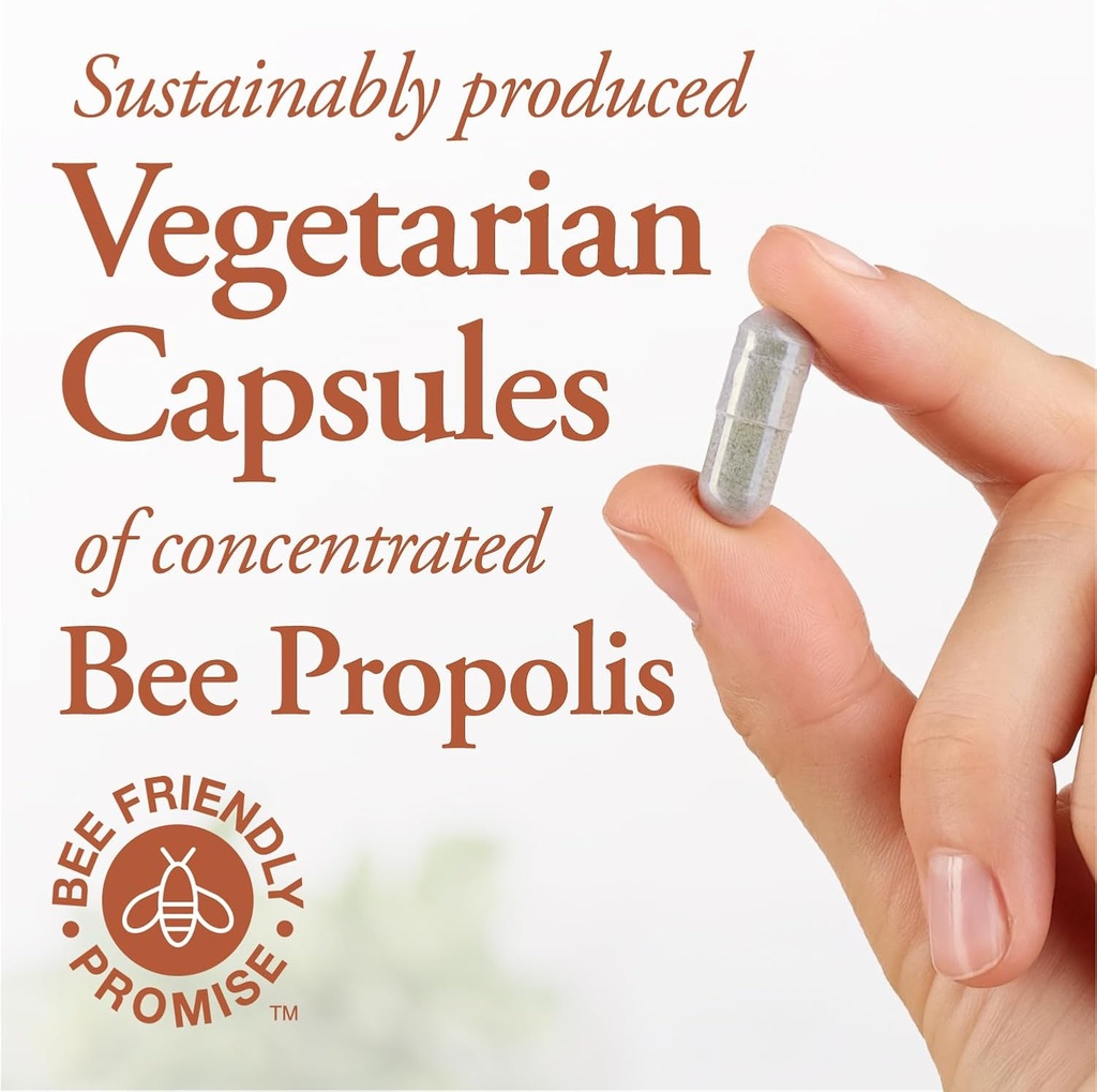 dutchmans-gold-propolis-500-mg-90-caps---2.jpg