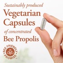 dutchmans-gold-propolis-500-mg-90-caps---2.jpg