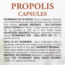 dutchmans-gold-propolis-500-mg-90-caps---3.jpg