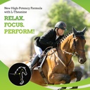 synchill-af-calming-gel-for-nervous-hors-3.jpg