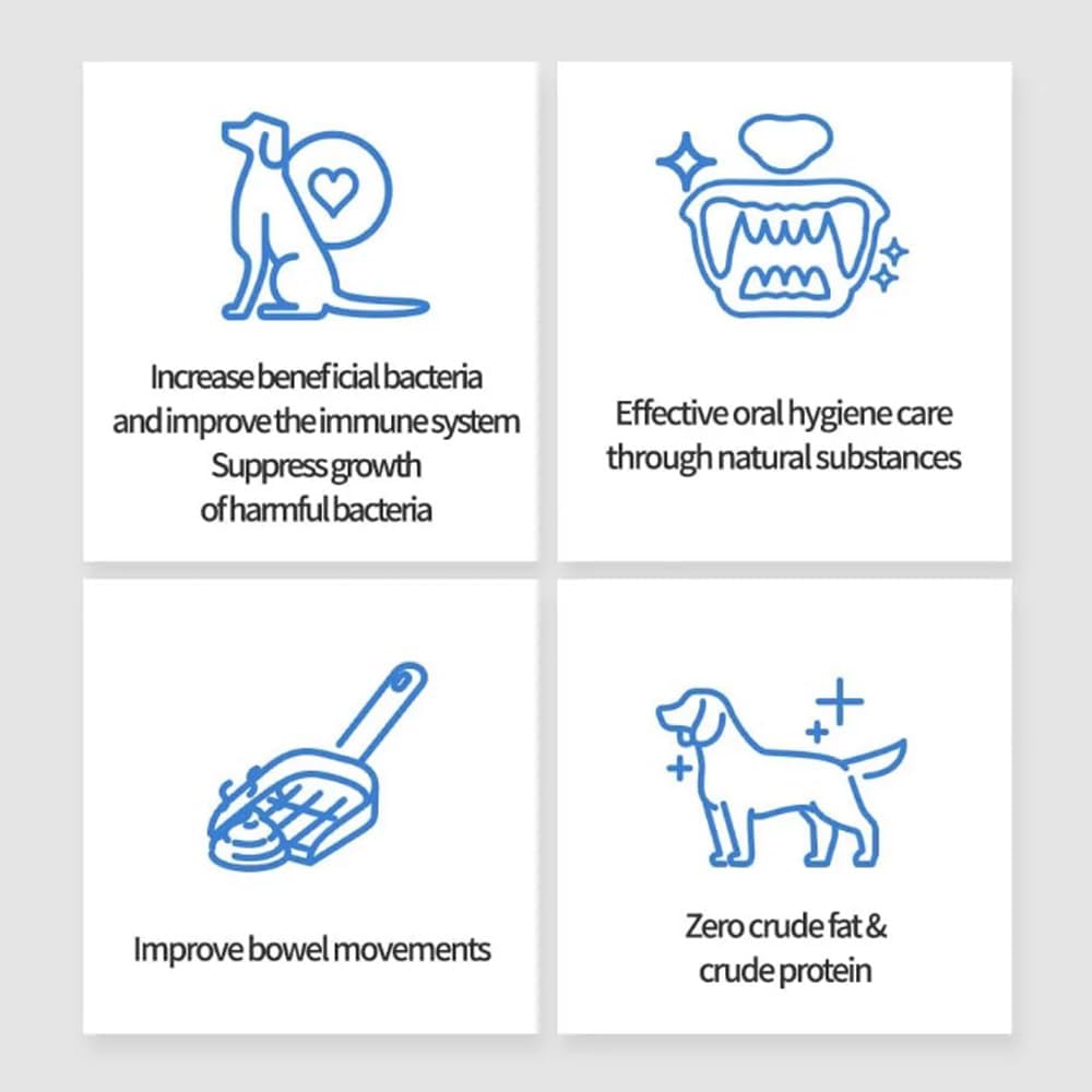 probiotics-for-dogs-and-cats-gut-health--3.jpg