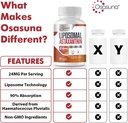 liposomal-astaxanthin-supplement-24mg-ma-3.jpg
