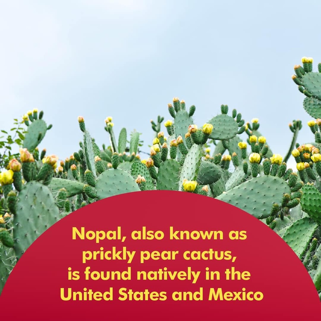 santo-remedio-maca-nopal-bundle-5.jpg