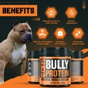 bully-protein-vitamins-for-dogs-with-toy-3.jpg