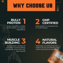 bully-protein-vitamins-for-dogs-with-toy-6.jpg