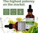 mullein-leaf-liquid-extract-2-fl-oz---ex-5.jpg