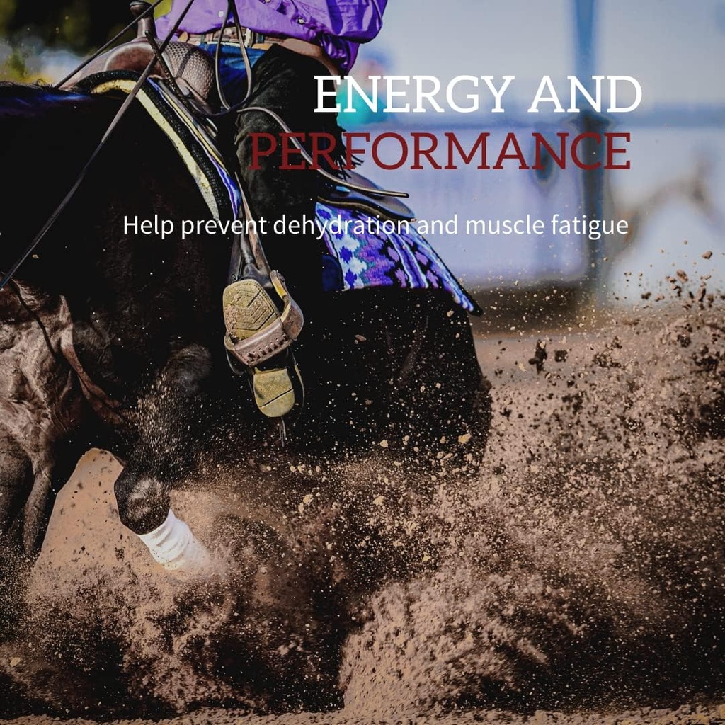 redmond-equine-electrolyte-paste-electro-4.jpg