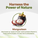 go-nutra---mangosteen-powder-pure-superf-4.jpg