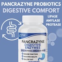 arymar-pancrazyne-probiotics-digestive-e-2.jpg