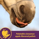 horse-health-joint-combo-classic-an-unbe-6.jpg