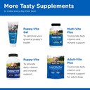 nutri-vet-senior-vite-multivitamin-dog-s-6.jpg