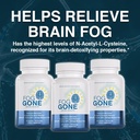brain-health-supplement-nootropic-formul-4.jpg