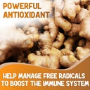 xprs-nutra-ginger-powder---premium-groun-3.jpg