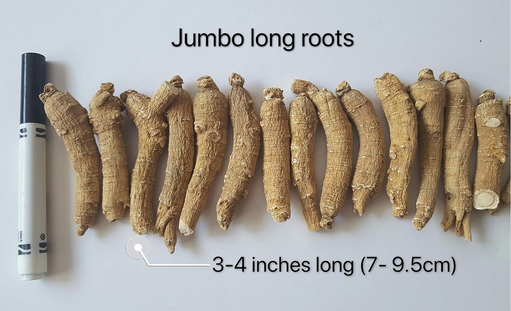 american-ginseng-from-wisconsin-ginseng--2.jpg