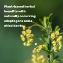 berberine-supplement-with-yohimbine-500m-6.jpg