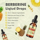 2pack-berberine-supplement---berberine-l-3.jpg